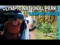 Visiting Olympic National Park Hiking Beaches Camping