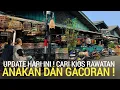 PASAR BURUNG ! HARI INI CARI KIOS RAWATAN ANAKAN GACORAN MURAH DI PASAR BURUNG PRAMUKA 