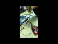 EEE20003 EMBEDDED MICROCONTROLLERS LAB E3 Year 2017 Sem 1