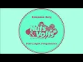 Benjamin Berg - I Found A Bird NUTS005