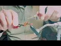Tying the Red Tag Wet and Dry Variations