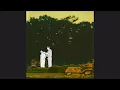 Penny & Sparrow - Alabama Haint (Runnner Remix) Visualizer