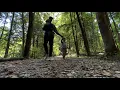 Hiking With Hara