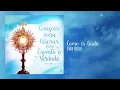Vida Reluz - Como és lindo