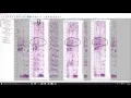 Python for Geoscience Workflows - Extending INTViewer