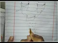 write a program that input two numbers swaps the values and then display it logic building in C