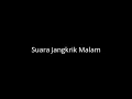 Download Lagu Suara jangkrik malam