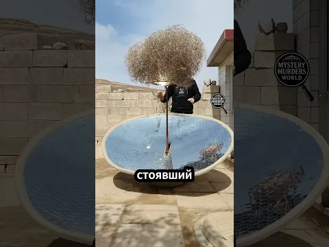 🔥 Сила солнечной сковороды: солома вспыхнула за секунды!