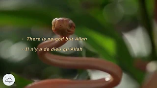 اغنية لا اله الا الله محمد رشدى La Illah Illa Allah Arabic Song In French English  اغنية لا اله الا الله محمد رشدى La Illah Illa Allah Arabic Song In French English