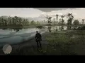Red Dead Redemption 2 QUEENS ORCHID Location