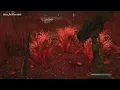Dwarven Crown Skyrim
