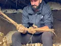 Download Lagu https://vt.tiktok.com/ZSUANFM8P/