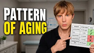 After 100s of Blood Tests, Here's What I Discovered Matters