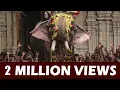 Download Lagu Thechikottukavu Ramachandran Elephant at Thrissur Pooram - 4K ARN MEDIA