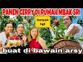 Download Lagu PANEN CERRY DI RUMAH MBAK SRI BUAT @ArsyFamilyDiSwiss DAN DI MASAKIN NASI GORENG SPESIAL ‼️