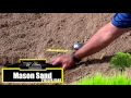 Three Z Supply MASON SAND