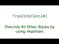 Basic CSS - Override All Other Styles by using Important