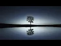 Mnemonic Frequency | 30 Minute Relaxation Music | Stories of Water Pt. 1