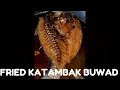Download Lagu Frying Katambak Buwad
