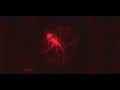 Normal - Before the Sun Finds Us - Inspired by (Wacuka) (Official Visualizer)