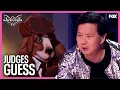 Judges Guesses For Sherlock Hound Season 12