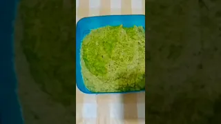 Falafel Ta Amiya Without Balls 