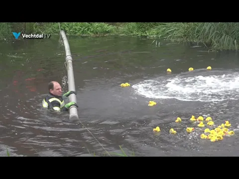 Alle (bad)eendjes zwemmen in het water.