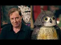 Download Lagu ardal o'hanlon being the \