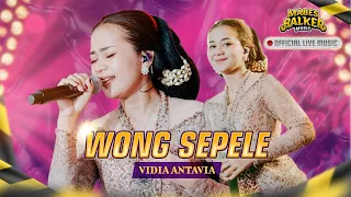 Download WONG SEPELE - VIDIA ANTAVIA (OFFICIAL LIVE MUSIC) MP3