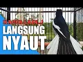 Download Lagu SUARA PANCINGAN BURUNG KACER AGAR CEPAT BUNYI DAN GACOR | KICAUAN KACER AMPUH