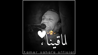 قضيت العمر بعيد عني العندليب تامر صحافة 2022 