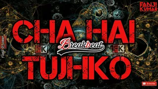 Download LAGU INDIA BREAKBEAT - JHAHAI TUJHKO - DJ TERBARU 2017 MP3