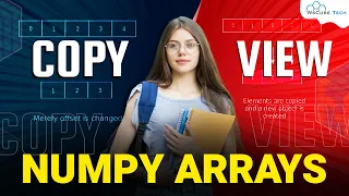 NumPy Arrays Copy vs View Function - What s The Difference
