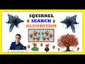 Squirrel Search Algorithm SSA STEP - BY