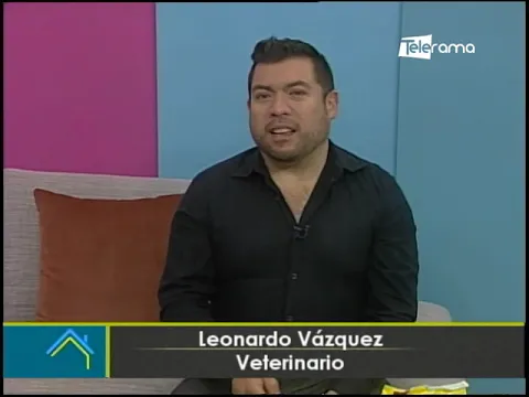 Cuidado de la salud bucal en las mascotas