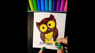owl drawing