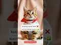Download Lagu cat solawat muslim