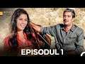 Download Lagu Doamna Dila Episodul 1