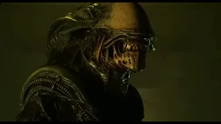 Why doesn t the Xenomorph have eyes ALIEN