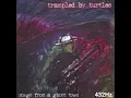 Trampled by Turtles ~ Whiskey (432Hz)