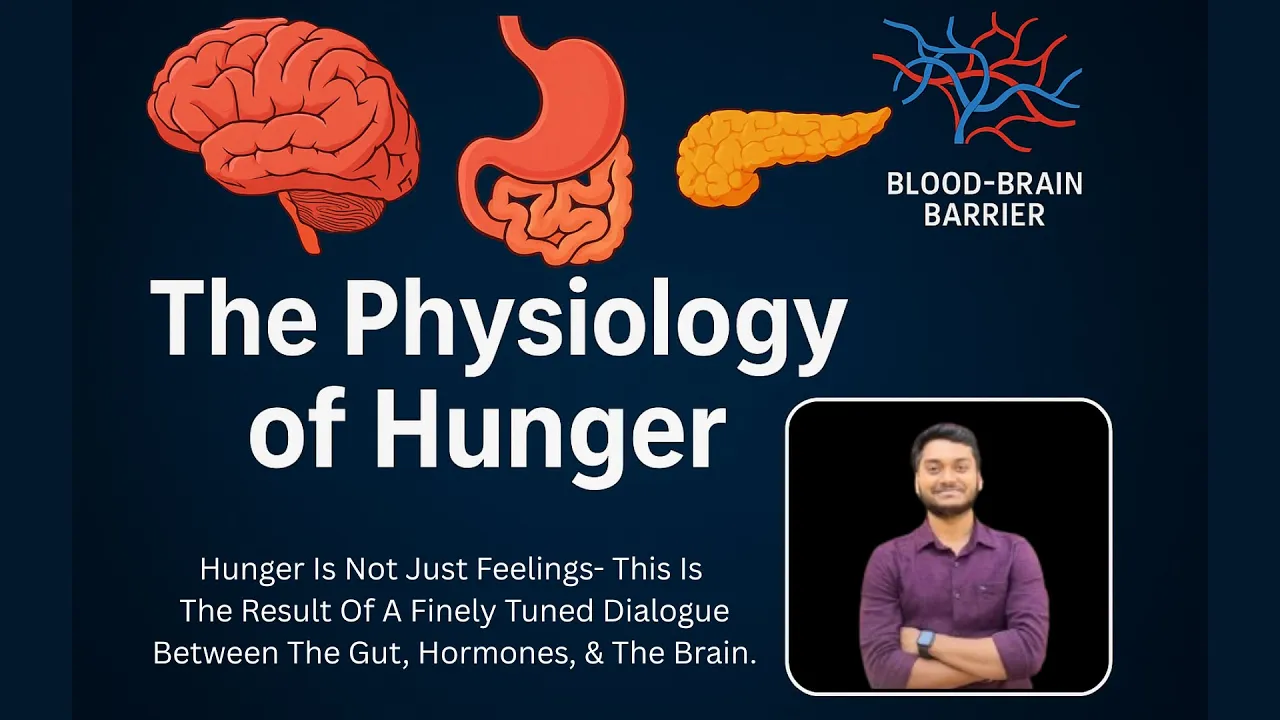 The Physiology Of Hunger| हमें भूख क्यों लगती हैं| How The Hunger Sensation Develops In Our Body!!