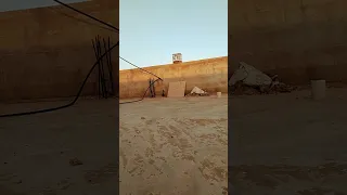 حلم كل مربي حسون خلوي صيد جديد Goldfinch Song Saka Ku طائر الحسون 