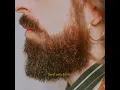 Emre Fel - Cevahir