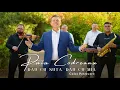 Download Lagu Puiu Codreanu - Dau cu suta, dau cu mia (Colaj petrecere)
