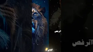 دبابه كاتم على النفس اسلام كابونجا تصميمي 