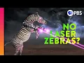 What is Impossible in Evolution