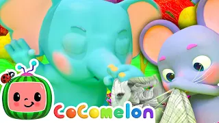 How To Stop Sneezing CoComelon Animal Time Learning With Animals Nursery Rhymes For Kids 