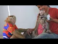Download Lagu Baby Luka Climbing Mommy Luna's Head By Don't Play With Adorable Olly