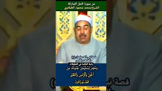 الطبلاوي وحشر لسليمان جنوده من الجن والإنس والطير فهم يوزعون مرئية نادرة 