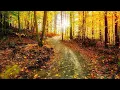 Beautiful Relaxing music Peaceful piano Music Early Autumn Days by Tim Janis